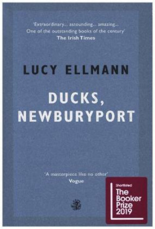 Carte Ducks, Newburyport Lucy Ellmann