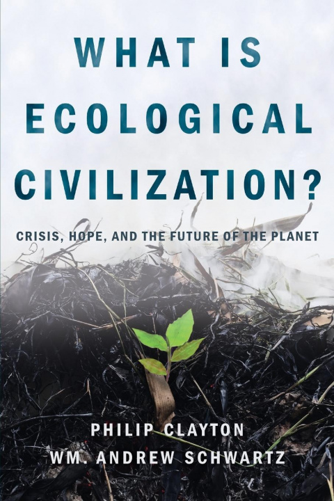 Kniha What is Ecological Civilization Wm. Andrew Scwartz