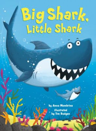 Könyv Big Shark, Little Shark 