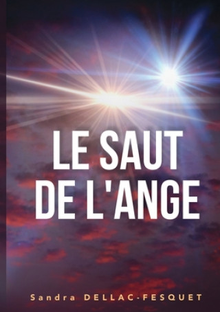 Kniha Saut de l'Ange 