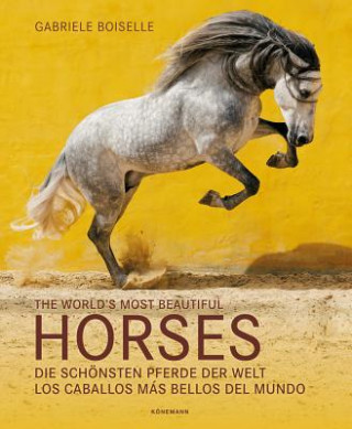 Kniha The World's Most Beautiful Horses / Die schönsten Pferde der Welt / Los caballos mas bellos del mundo 