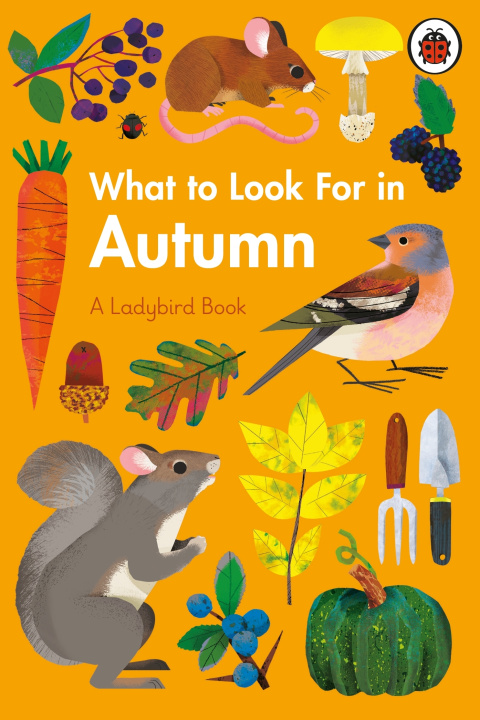 Kniha What to Look For in Autumn Elizabeth Jenner