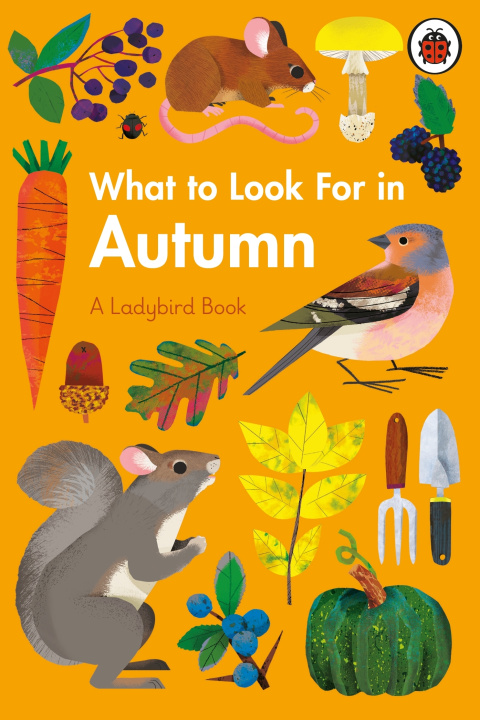 Knjiga What to Look For in Autumn Elizabeth Jenner