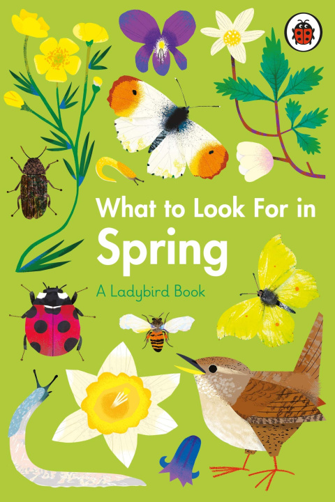 Carte What to Look For in Spring Elizabeth Jenner