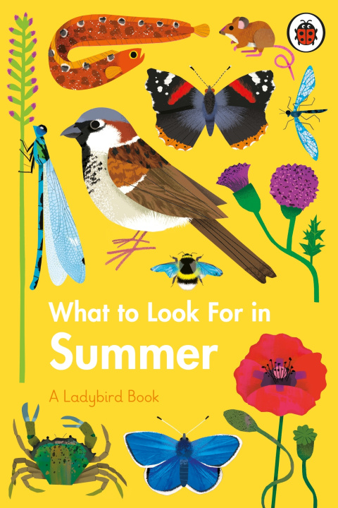 Carte What to Look For in Summer Elizabeth Jenner