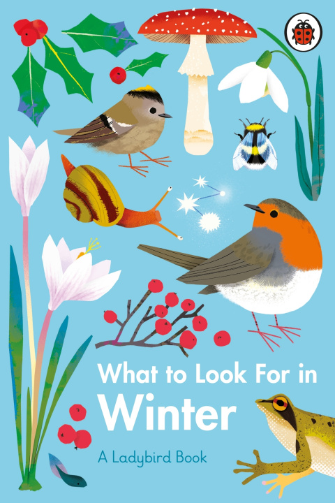Книга What to Look For in Winter Elizabeth Jenner