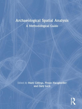 Kniha Archaeological Spatial Analysis 