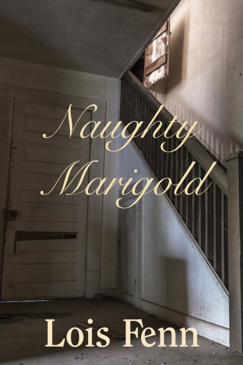 Knjiga Naughty Marigold Lois Fenn