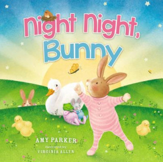 Kniha Night Night, Bunny Amy Parker