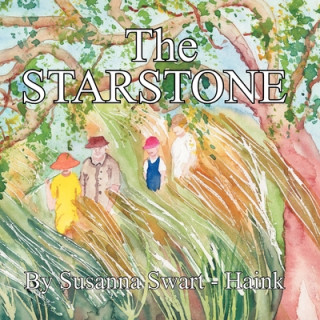 Knjiga Starstone Sussanna Swart -. Haink