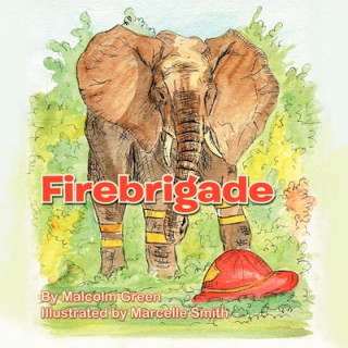 Knjiga Firebrigade Malcolm Green