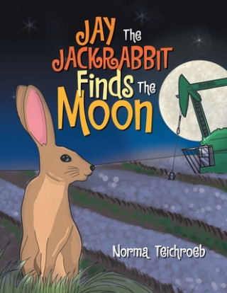 Buch Jay The Jackrabbit Finds The Moon Norma Teichroeb