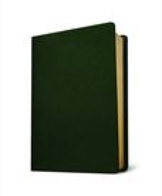 Boek Baylor Annotated Study Bible W. H. Bellinger Jr.