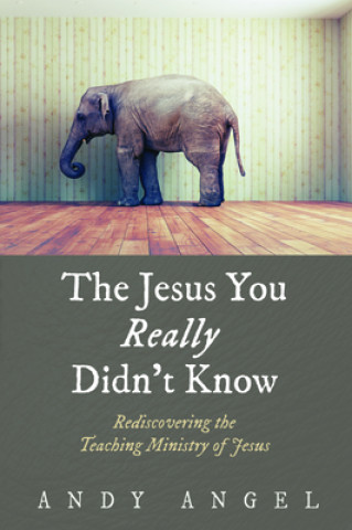 Könyv Jesus You Really Didn't Know 