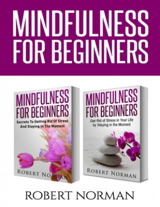 Buch Mindfulness for Beginners Adam Dubeau