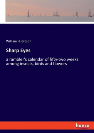 Könyv Sharp Eyes 