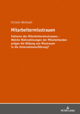Kniha Mitarbeitermisstrauen Christin Wohlrath