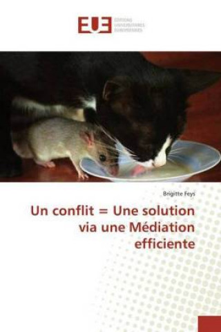 Kniha Un conflit = Une solution via une Médiation efficiente 