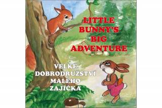 Könyv Velké dobrodružství malého zajíčka / Little Bunny's Big Adventure Ludmila Šnajderová