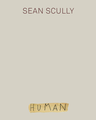 Kniha Sean Scully: Human 