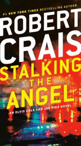 Kniha Stalking the Angel 