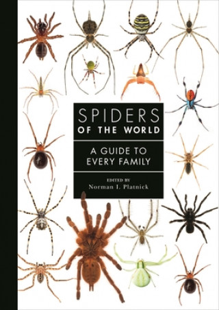 Carte Spiders of the World - A Natural History Rudy Jocque