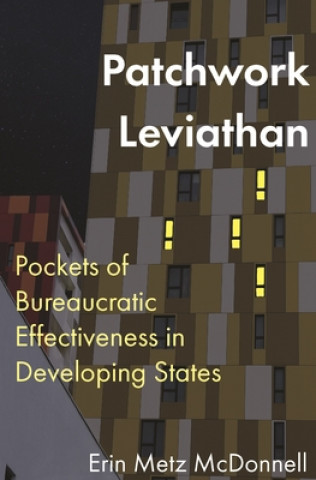 Kniha Patchwork Leviathan Erin Metz McDonnell