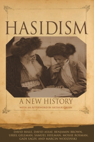 Книга Hasidism David Assaf