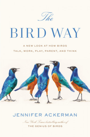 Buch Bird Way 