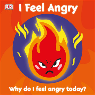 Książka I Feel Angry: Why Do I Feel Angry Today? 