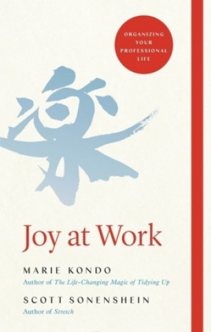 Kniha Joy at Work 