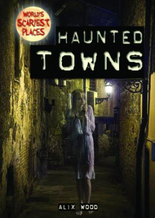 Knjiga Haunted Towns Alix Wood