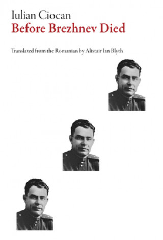 Kniha Before Brezhnev Died Alistair Ian Blyth