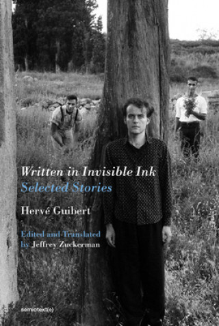 Kniha Written in Invisible Ink - Selected Stories Jeffrey Zuckerman