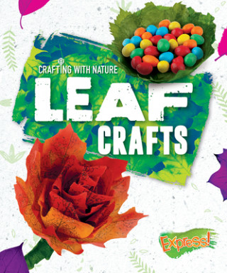 Knjiga Leaf Crafts Rebecca Sabelko