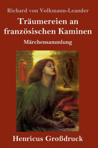 Könyv Traumereien an franzoesischen Kaminen (Grossdruck) 