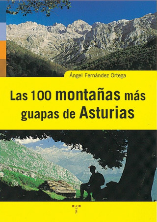 Kniha LAS 100 MONTAÑAS MÁS GUAPAS DE ASTURIAS ANGEL FERNANDEZ ORTEGA