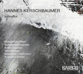 Audio Schraffur-Kammermusik 