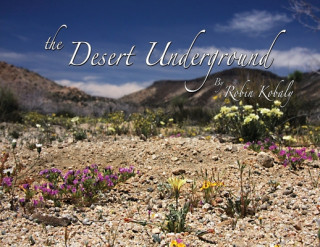 Книга The Desert Underground 