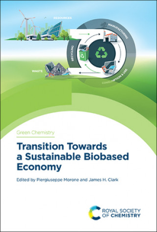 Kniha Transition Towards a Sustainable Biobased Economy James H. Clark
