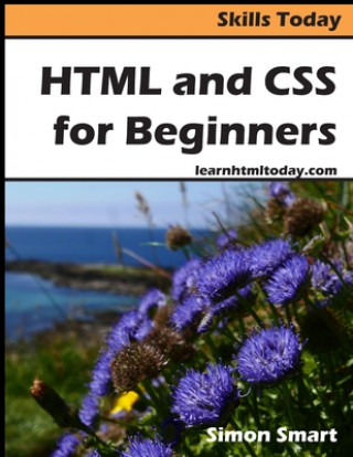 Kniha HTML and CSS for Beginners 