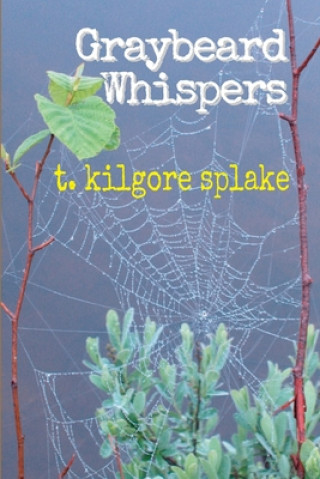 Book Graybeard Whispers Dustin Pickering
