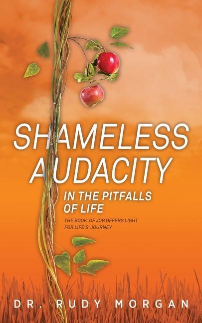 Kniha Shameless Audacity: In the Pitfalls of Life 