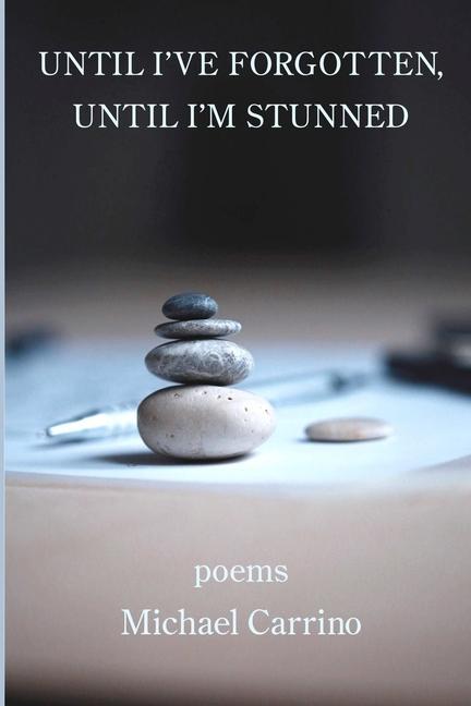 Buch Until I've Forgotten, Until I'm Stunned Michael Carrino