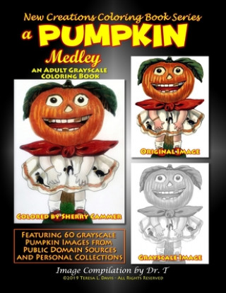 Kniha New Creations Coloring Book Series: A Pumpkin Medley Brad Davis