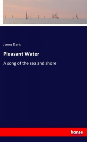 Buch Pleasant Water James Davis