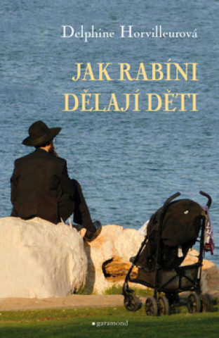 Book Jak rabíni dělají děti Delphine Horvilleurová