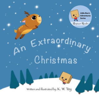 Książka Extraordinary Christmas K. W. Tey