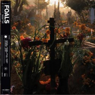 Книга Everything Not Saved Will Be Lost Part 2 Foals