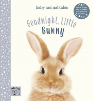 Kniha Goodnight, Little Bunny 